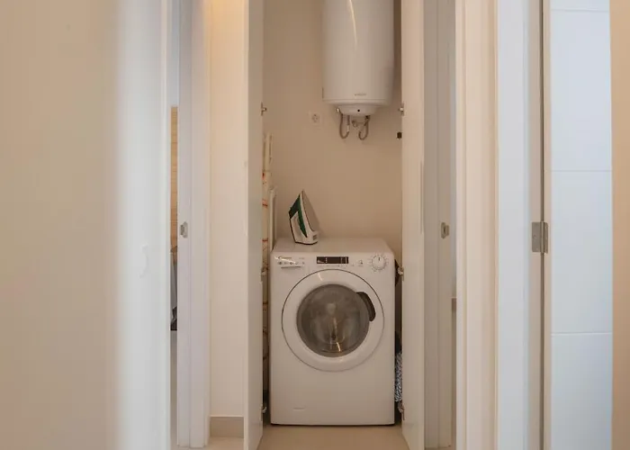 Panasco 아리시페